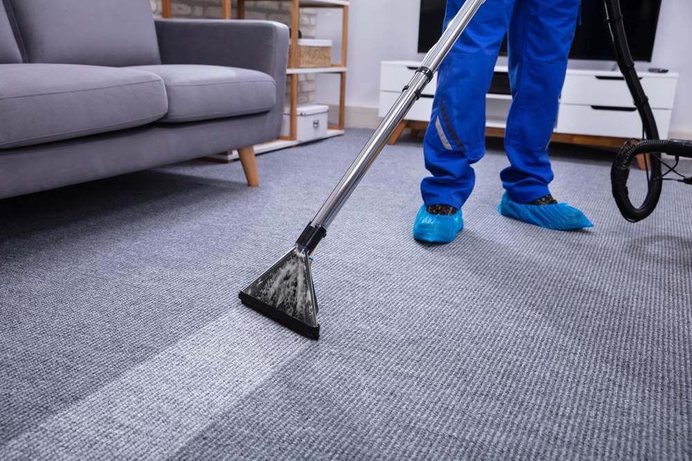 Carpet & Upholstery Cleaning Advance Cleaners